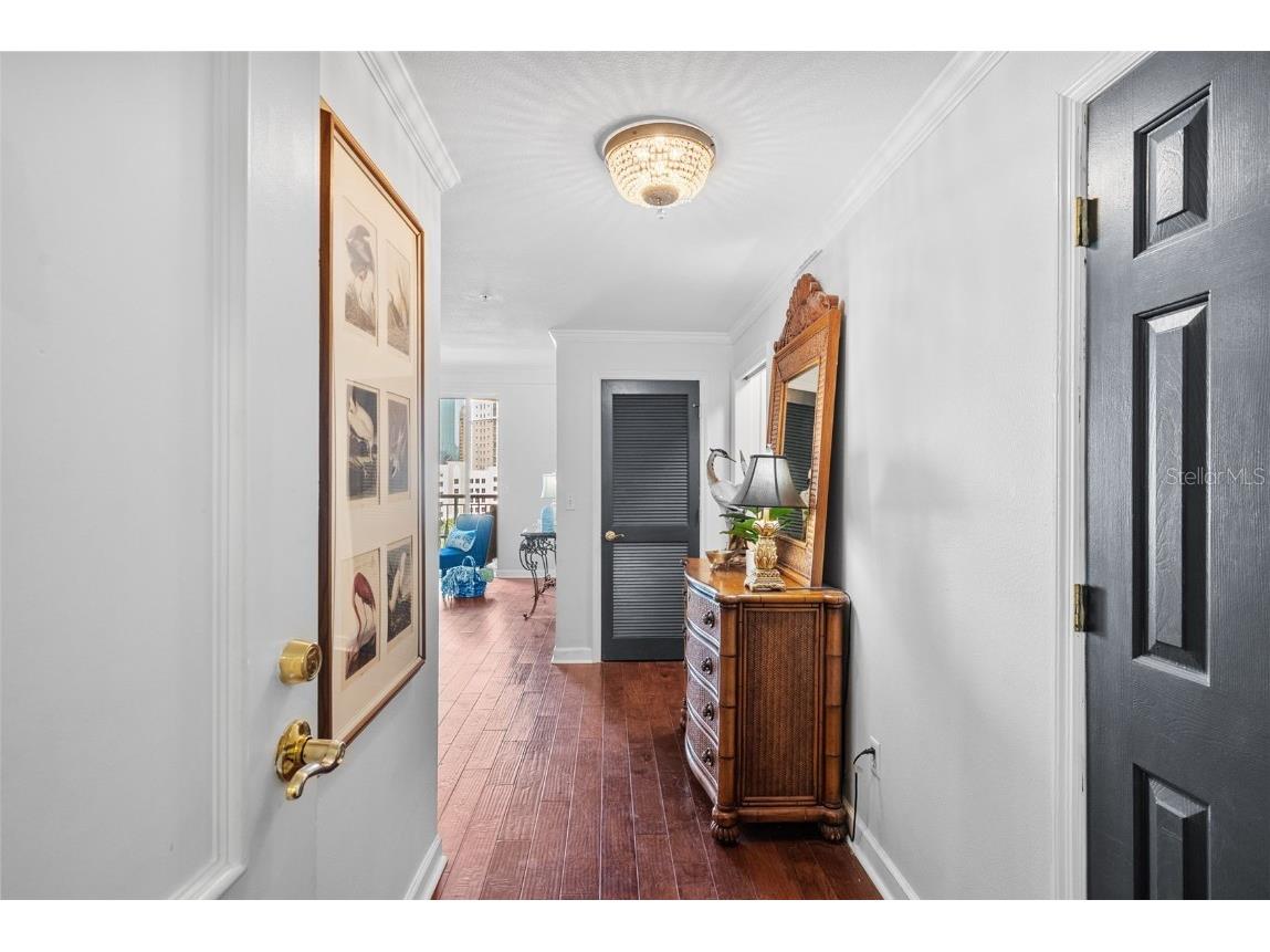 345 Bayshore Boulevard #808 Tampa FL 33606 - HILLSBOROUGH BAY TB8449226 image3