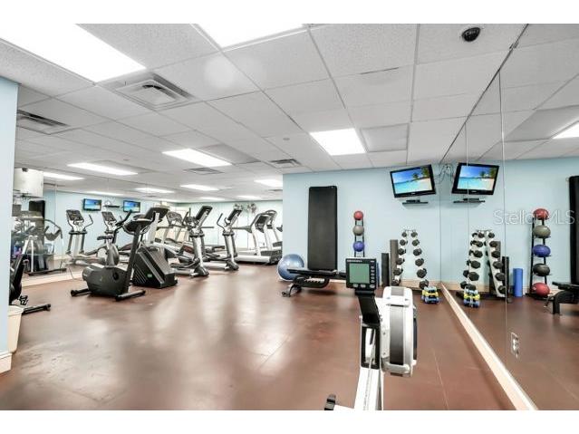 345 Bayshore Boulevard #808 Tampa FL 33606 - HILLSBOROUGH BAY TB8449226 image30