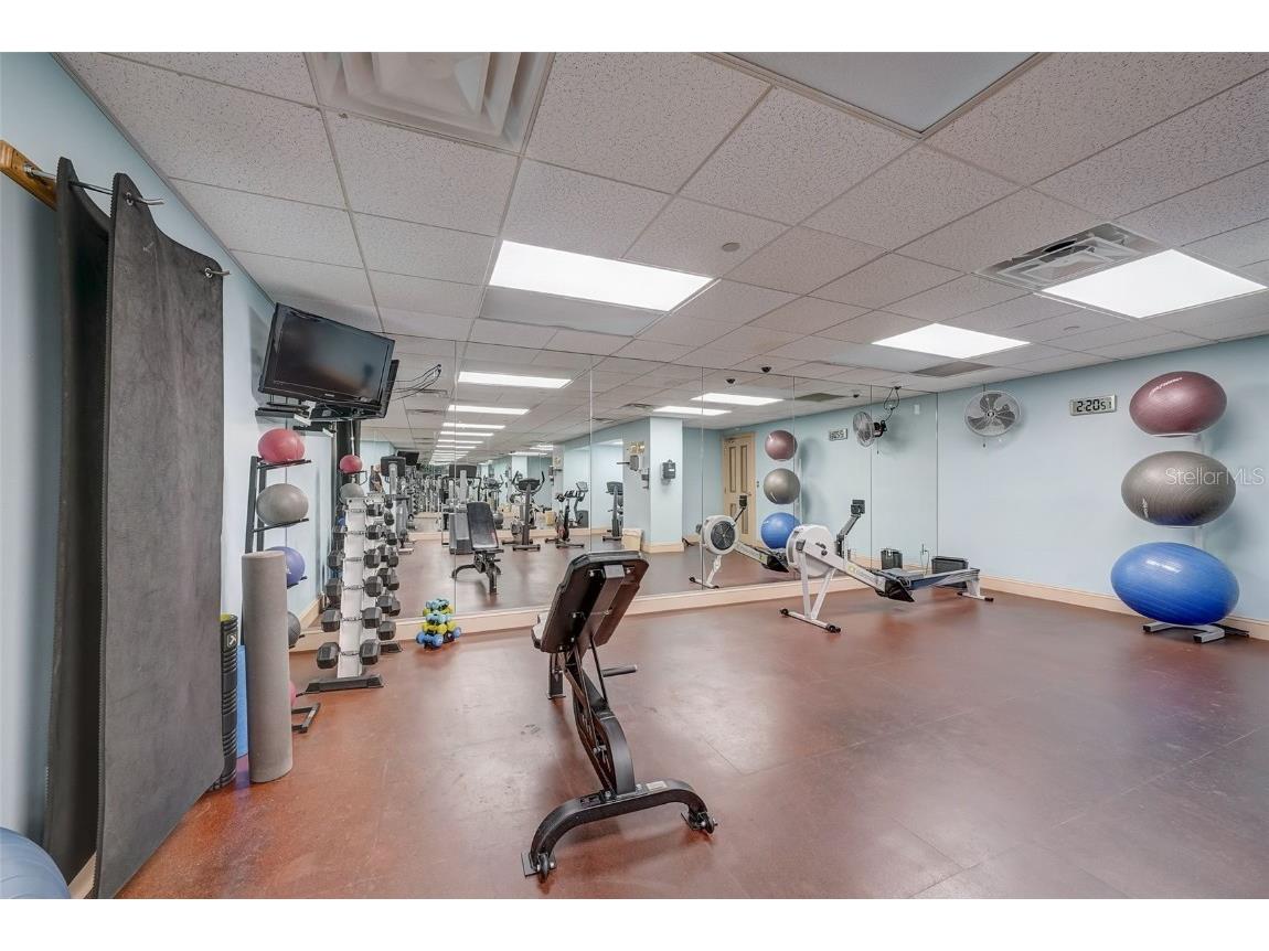 345 Bayshore Boulevard #GP06 Tampa FL 33606 - HILLSBOROUGH BAY TB8429906 image54