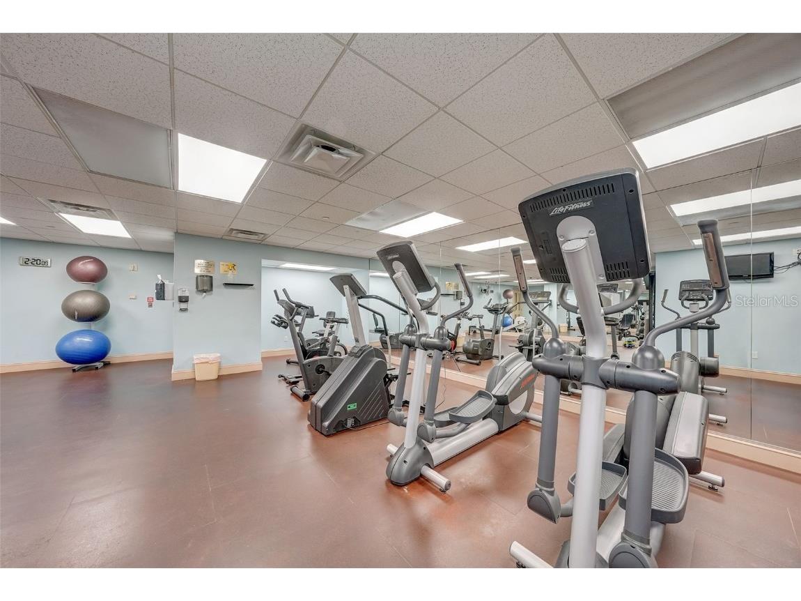 345 Bayshore Boulevard #GP06 Tampa FL 33606 - HILLSBOROUGH BAY TB8429906 image55