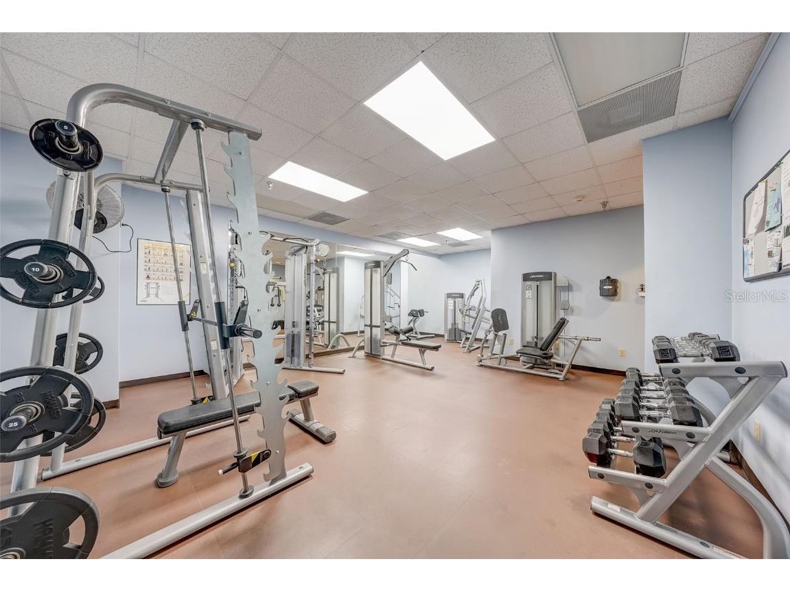 345 Bayshore Boulevard #GP06 Tampa FL 33606 - HILLSBOROUGH BAY TB8429906 image69