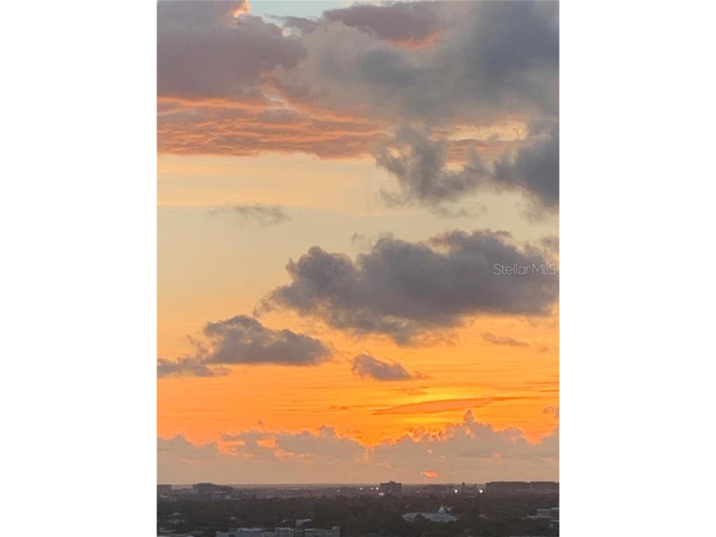 345 Bayshore Boulevard #GP5 Tampa FL 33606 TB8449073 image5