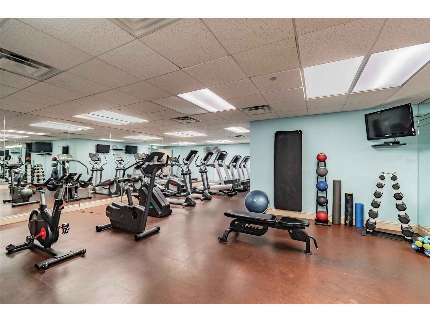 345 Bayshore Boulevard #P9 Tampa FL 33606 - HILLSBOROUGH BAY TB8359984 image43