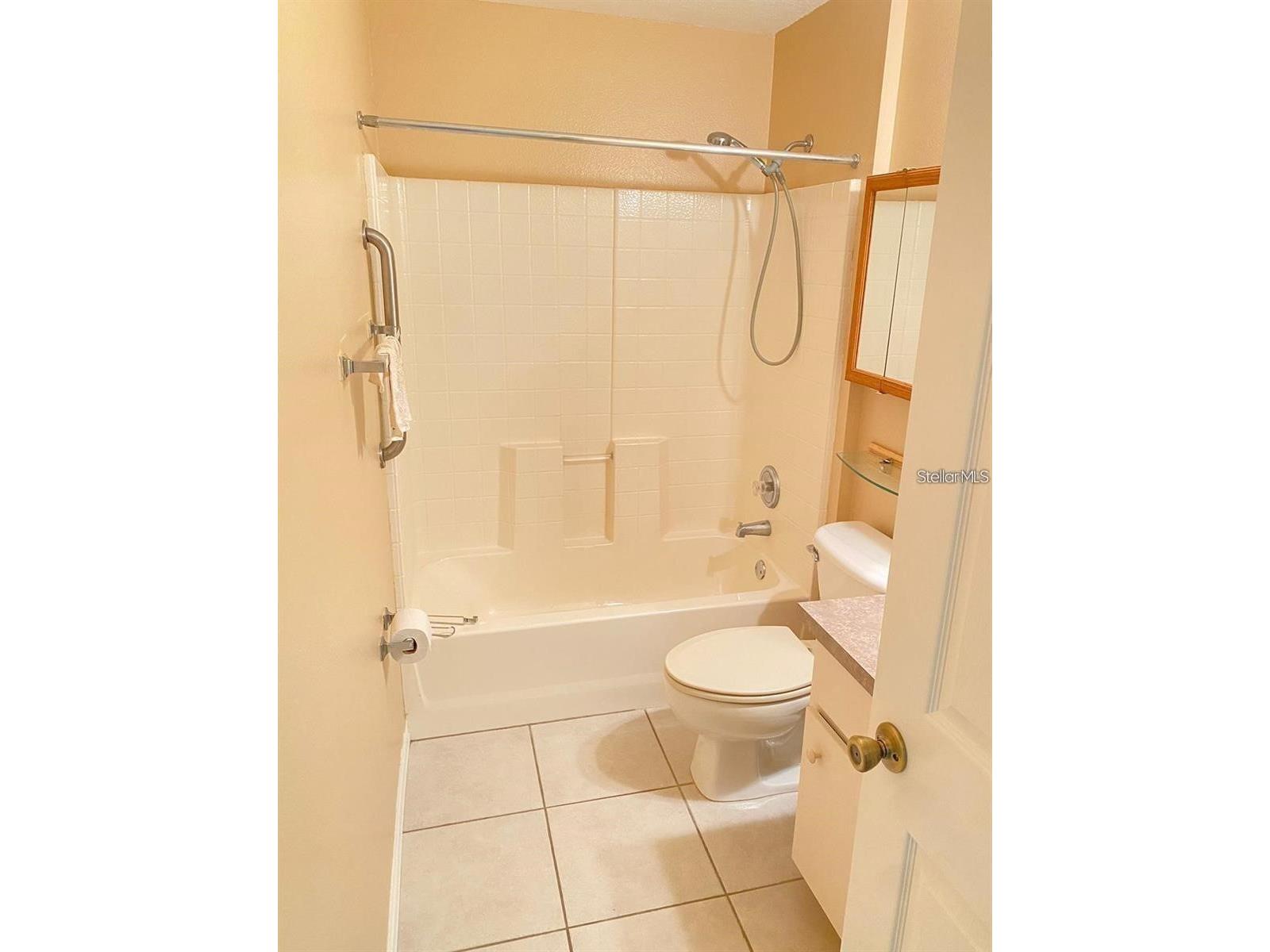 345 E Ohio Avenue #345 Orange City FL 32763 S5148729 image6