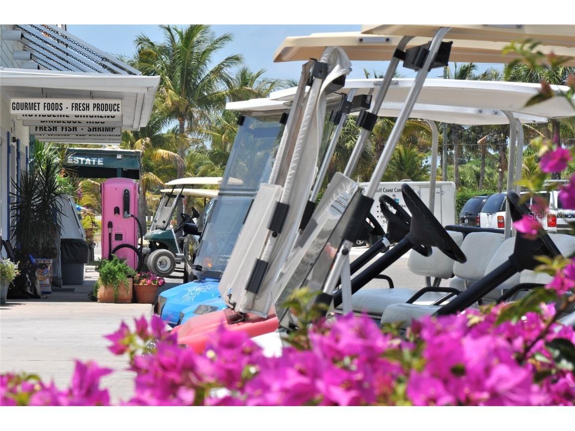 345 Green Dolphin Drive Placida FL 33946 D6143762 image99