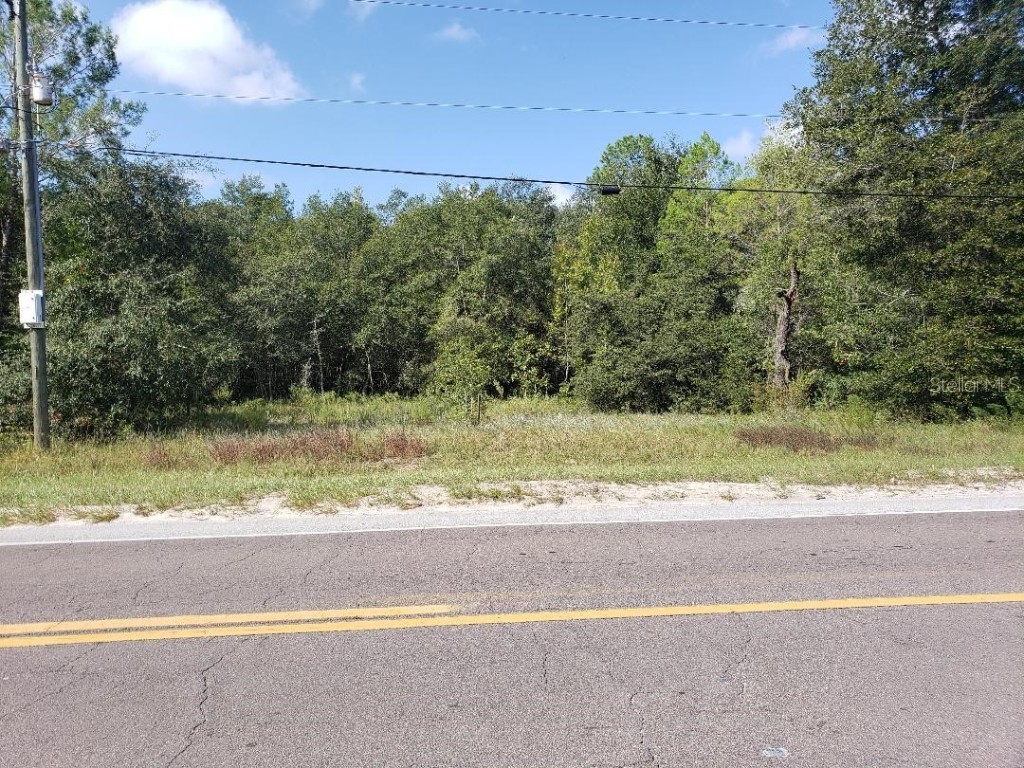 345 S County Road 315 Interlachen FL 32148 OM714647 image4