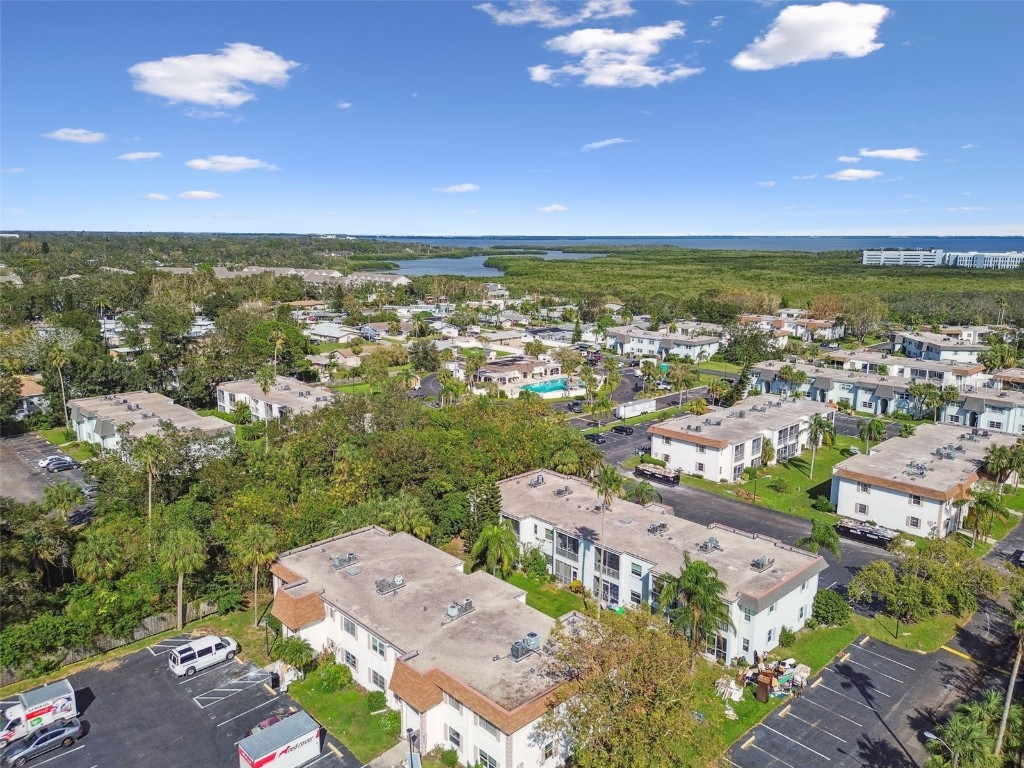 345 S Mcmullen Booth Road #142 Clearwater FL 33759 TB8398593 image48