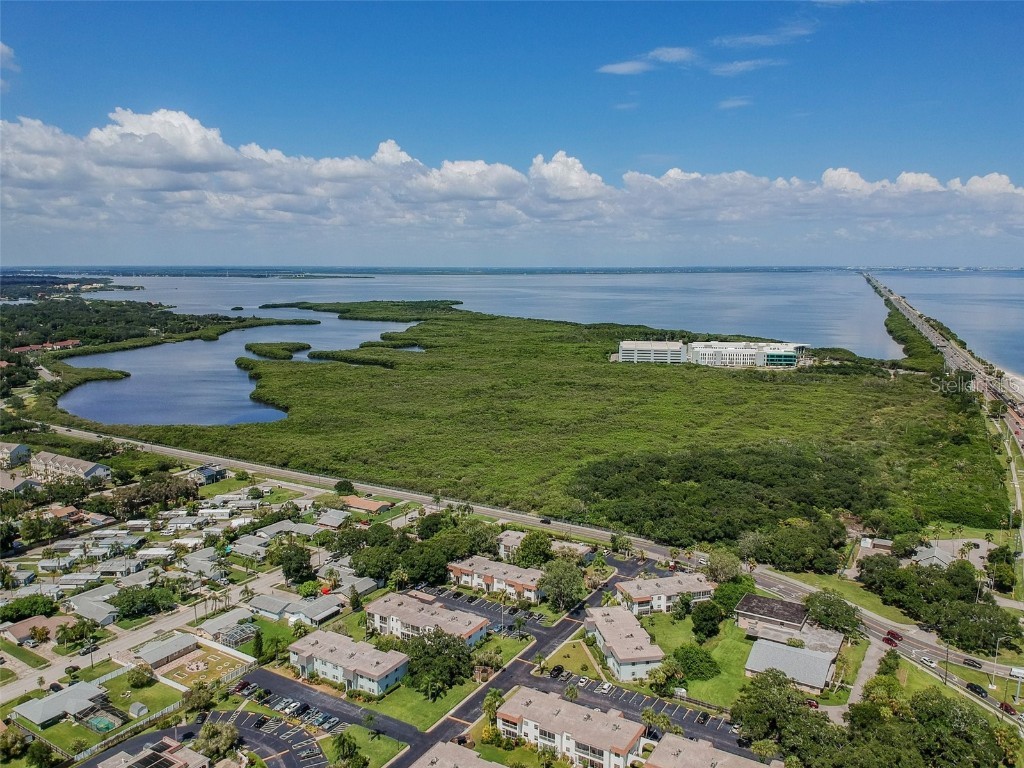 345 S Mcmullen Booth Road #142 Clearwater FL 33759 TB8398593 image82