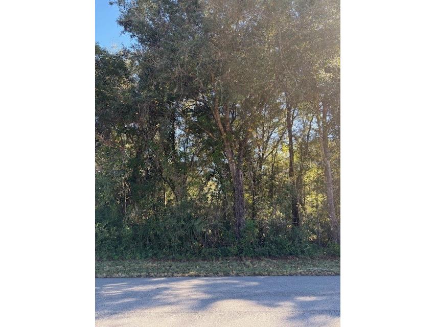 345 S Ridgewood Avenue Deland FL 32720 V4946291 image4