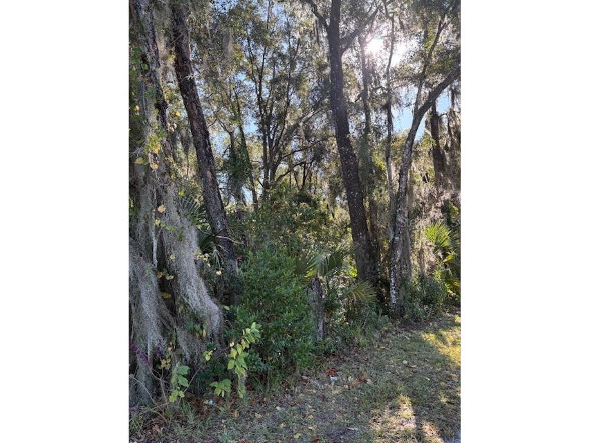 345 S Ridgewood Avenue Deland FL 32720 V4946291 image6