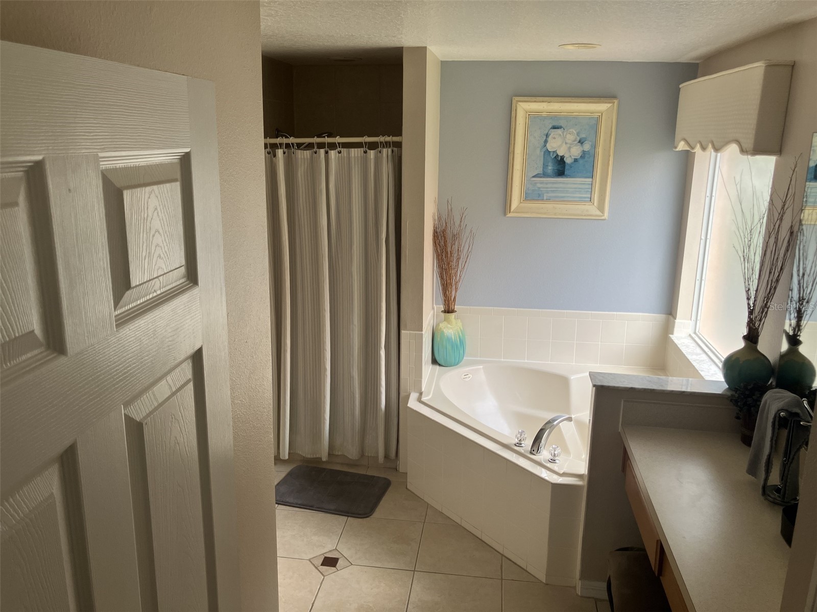 345 Solana Circle Davenport FL 33897 TB8516008 image9