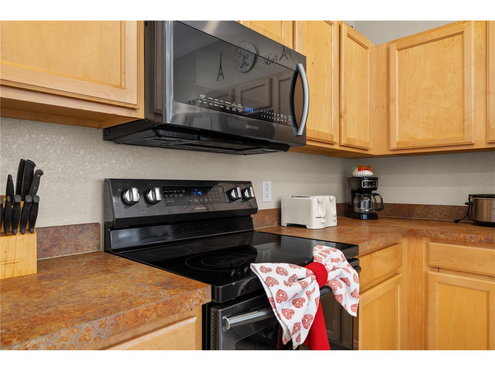 345 Summer Place Loop Clermont FL 34714 O6388358 image16