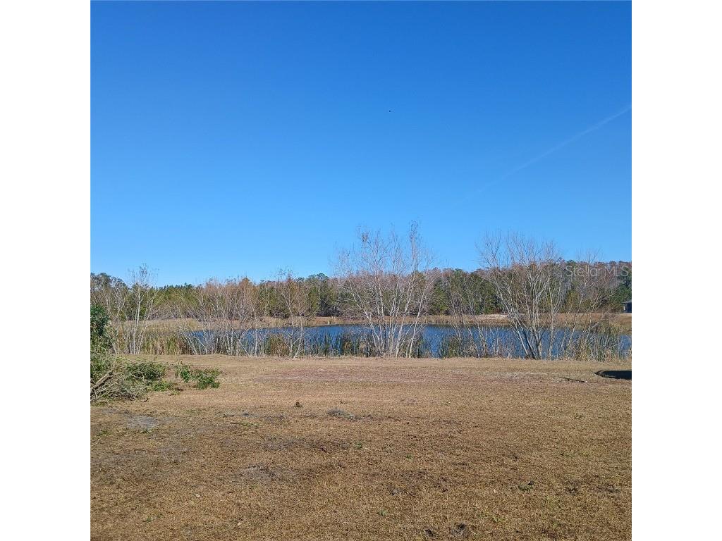 345 SW Silver Palm Drive Lake City FL 32024 GC528102 image1