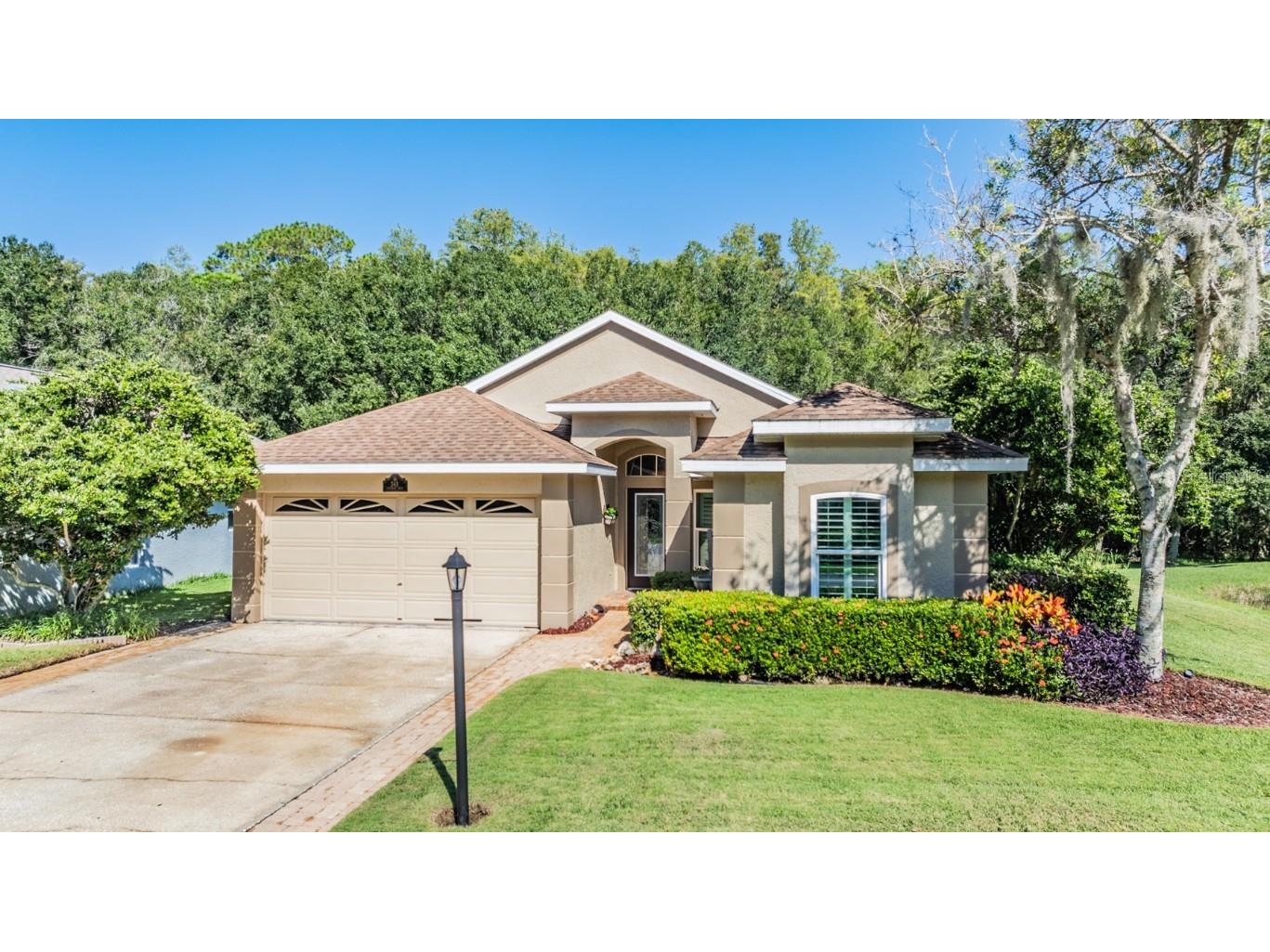 345 Tavernier Drive Oldsmar FL 34677 TB8305577 image1