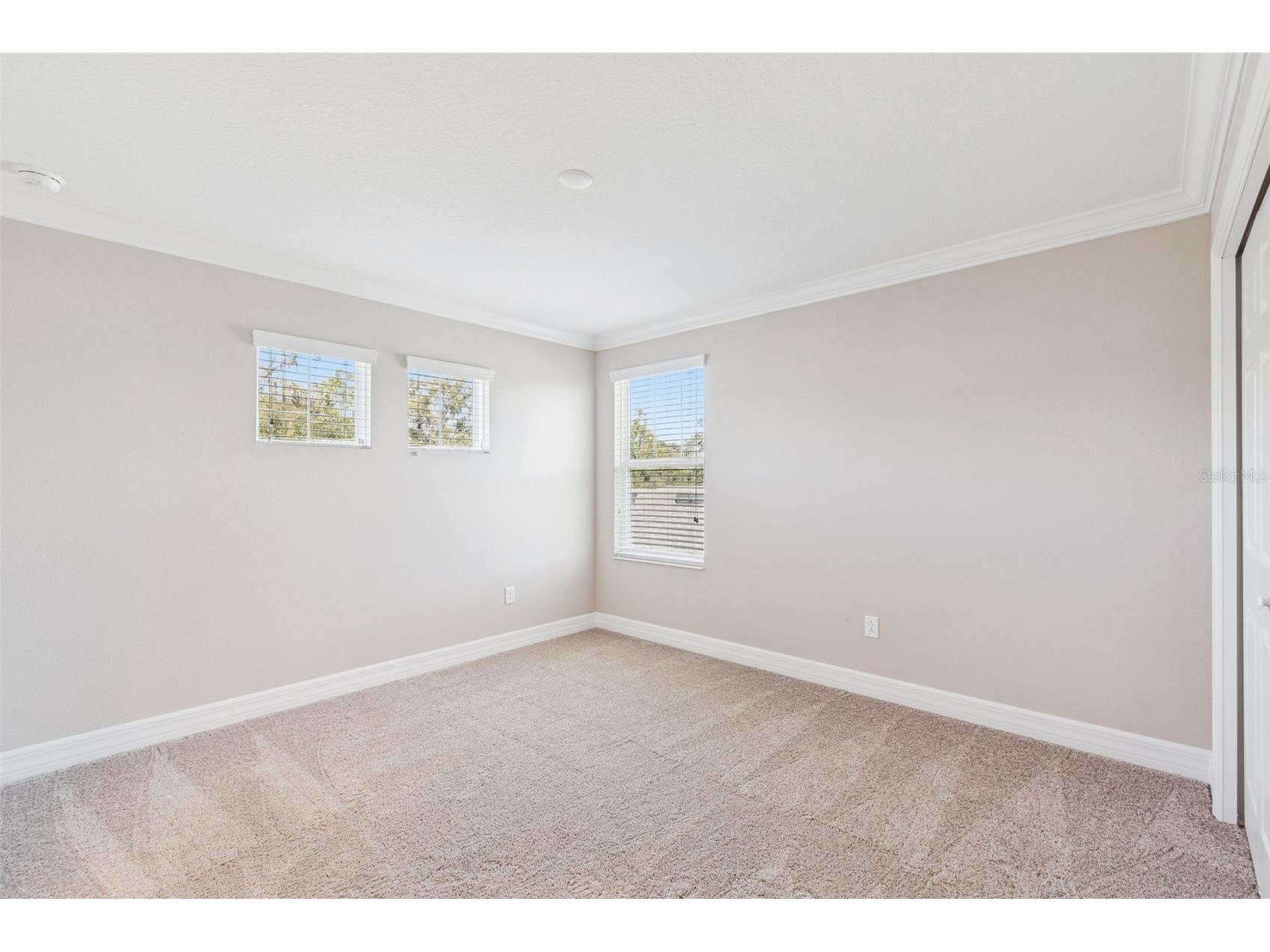 345 Villa Corte Drive Lutz FL 33549 TB8458987 image27