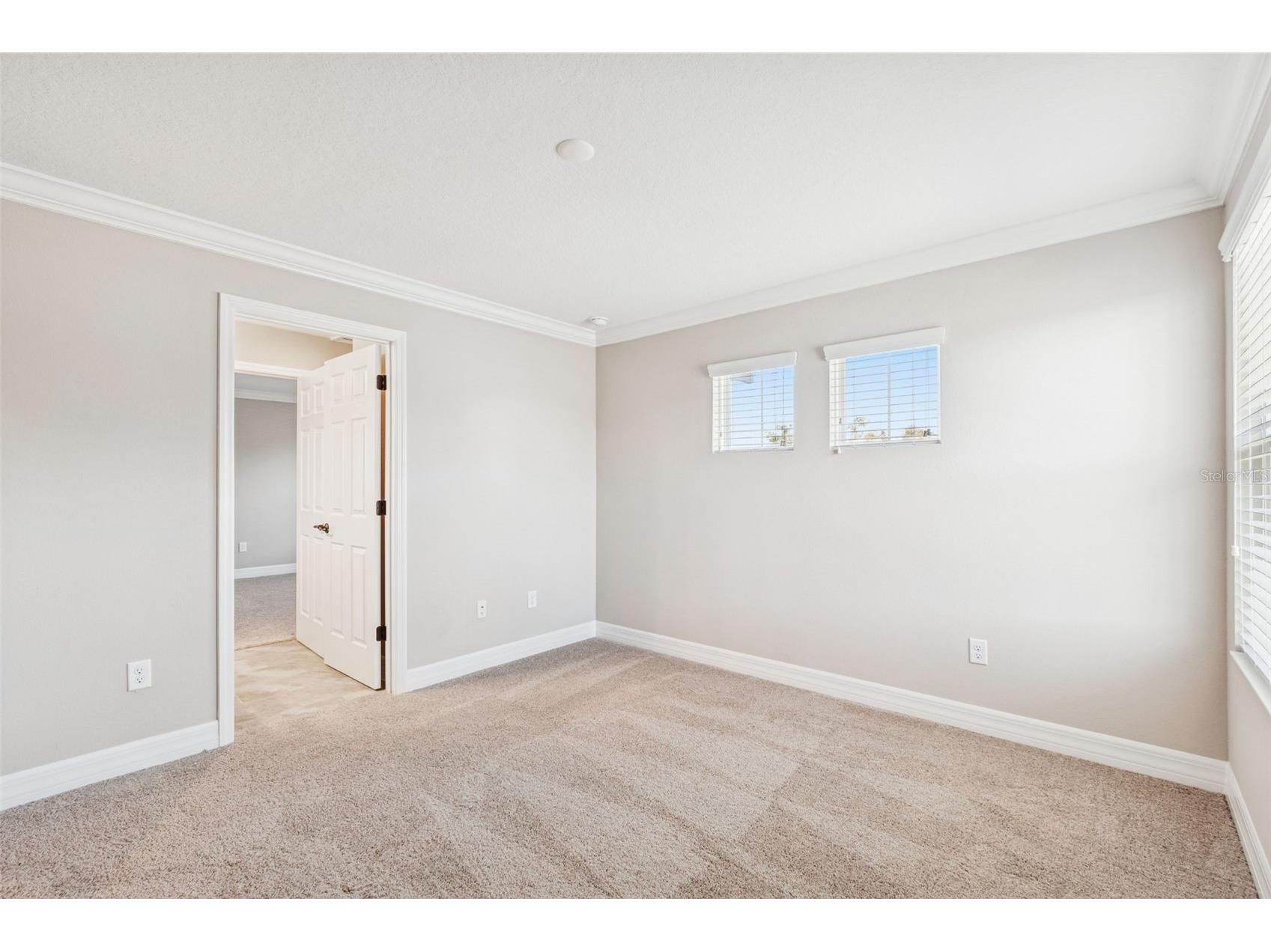 345 Villa Corte Drive Lutz FL 33549 TB8458987 image28