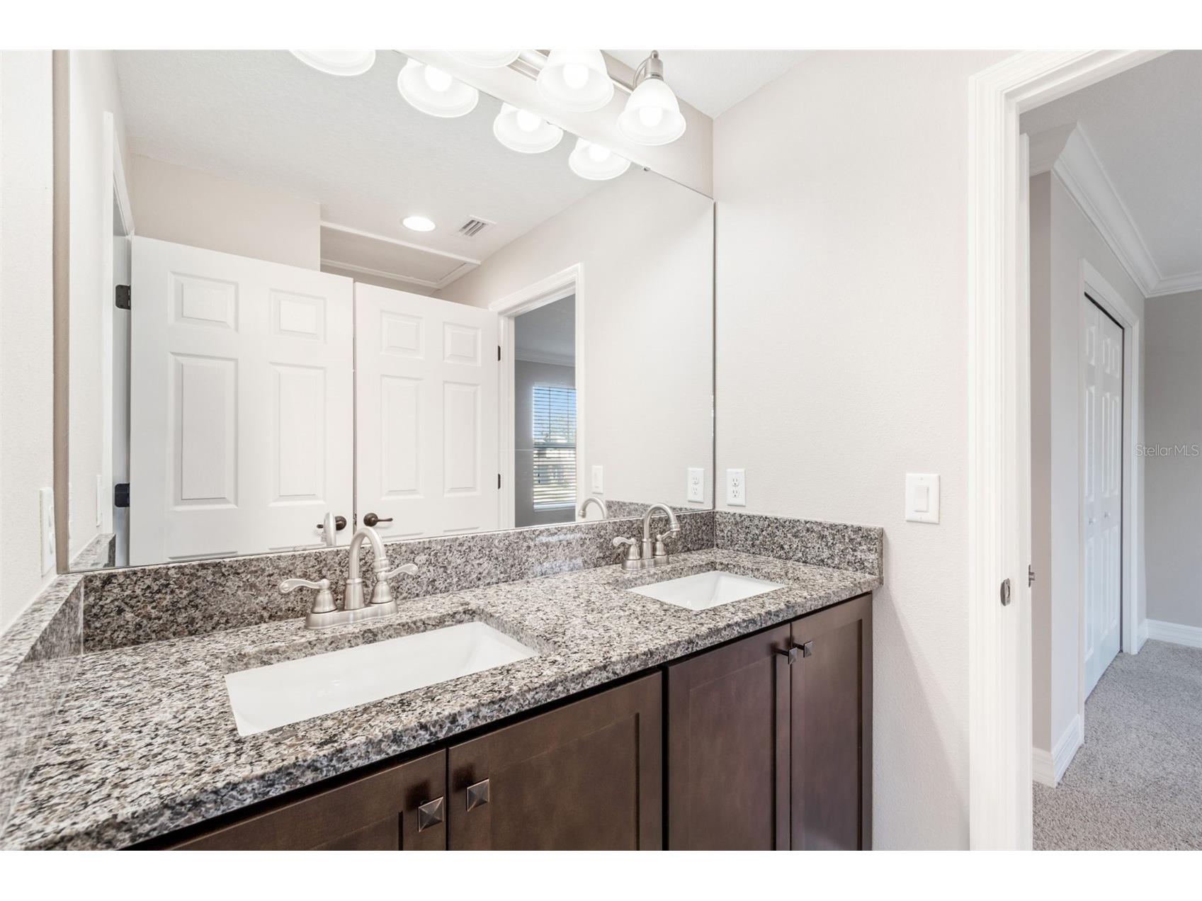 345 Villa Corte Drive Lutz FL 33549 TB8458987 image31