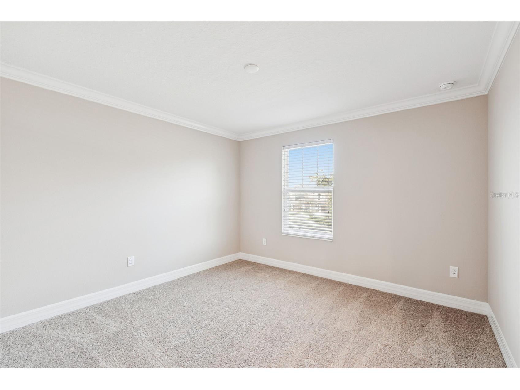 345 Villa Corte Drive Lutz FL 33549 TB8458987 image37