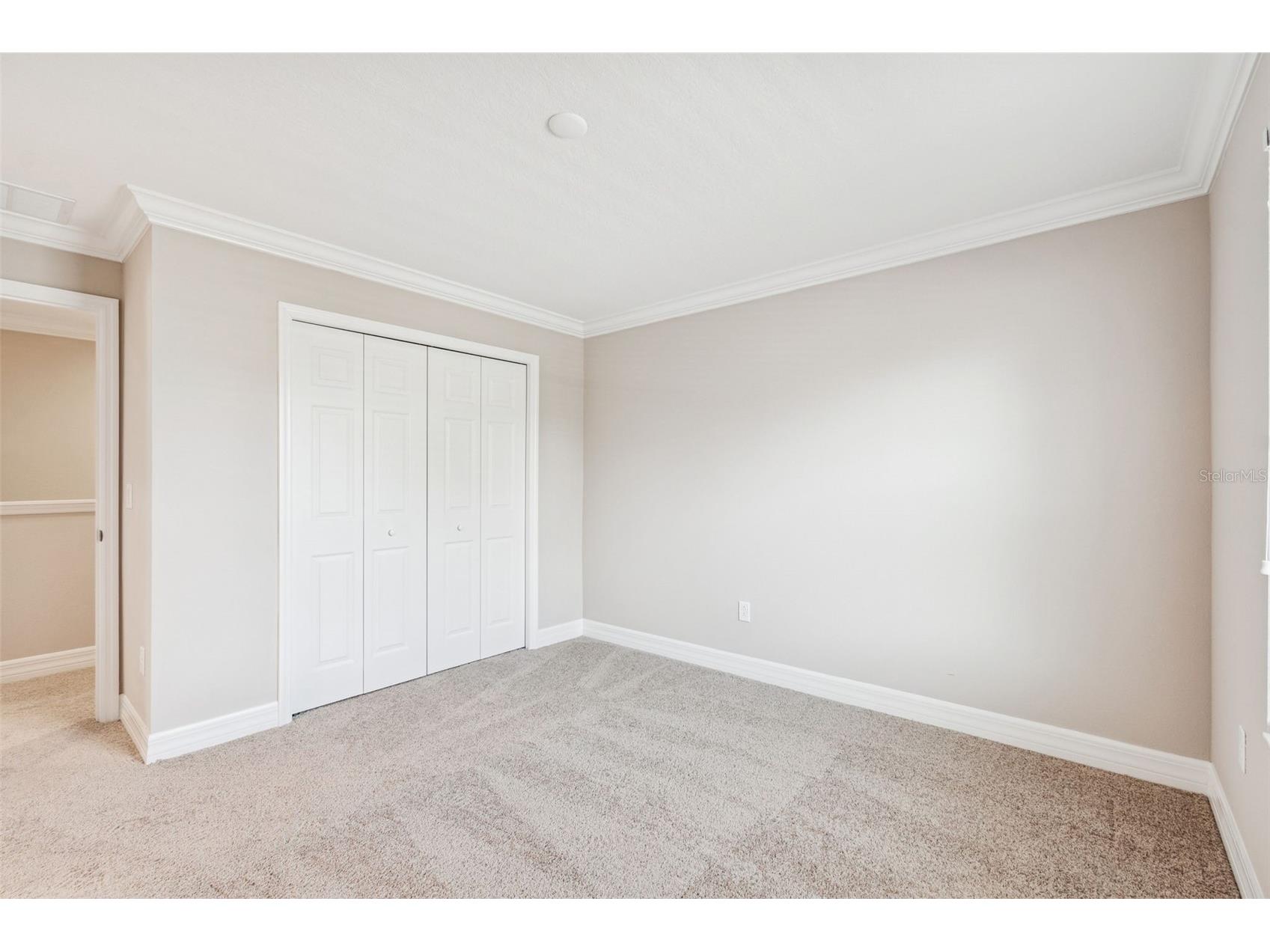 345 Villa Corte Drive Lutz FL 33549 TB8458987 image38