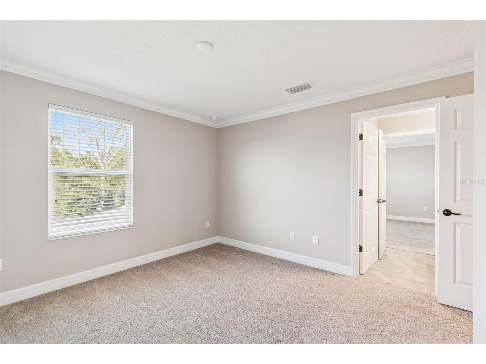 345 Villa Corte Drive Lutz FL 33549 TB8458987 image40
