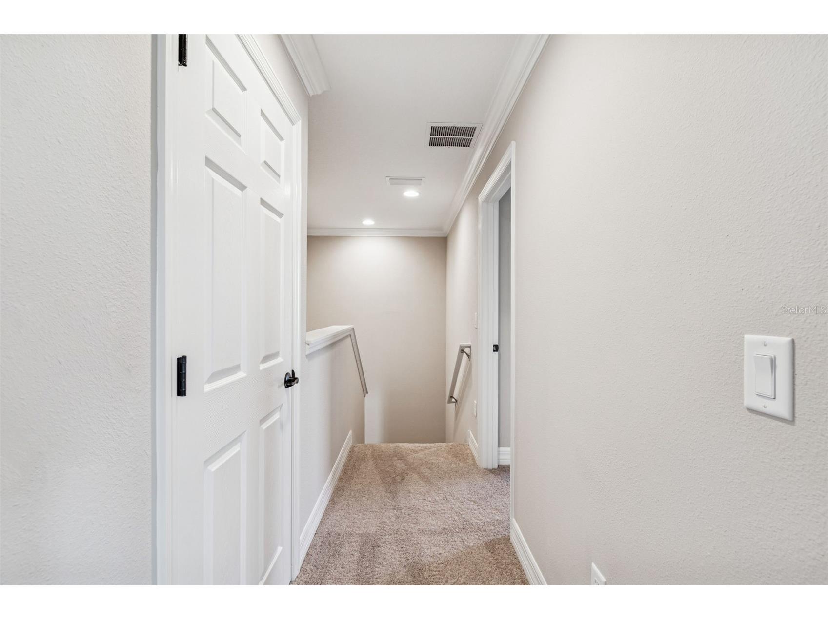345 Villa Corte Drive Lutz FL 33549 TB8458987 image41