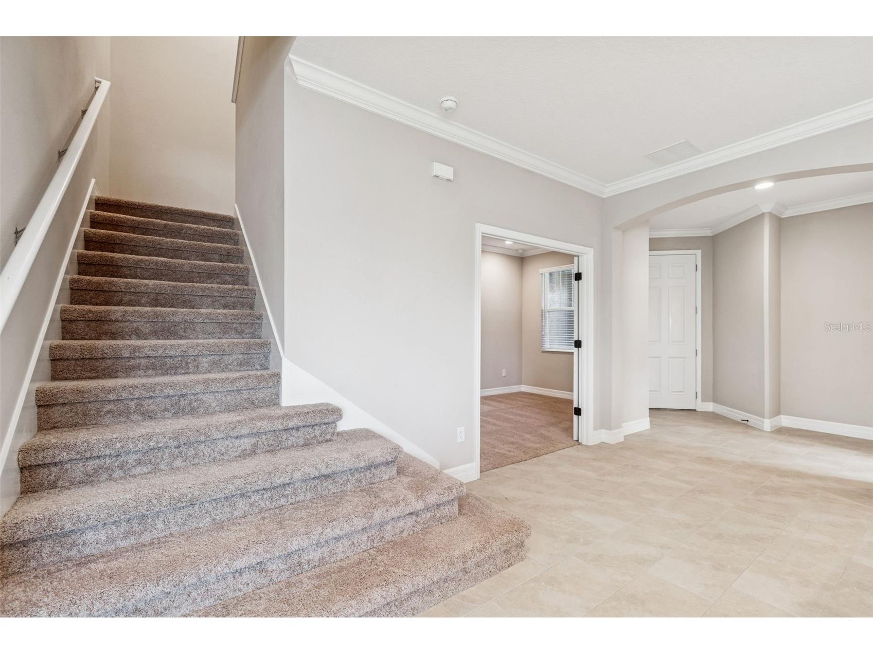 345 Villa Corte Drive Lutz FL 33549 TB8458987 image51