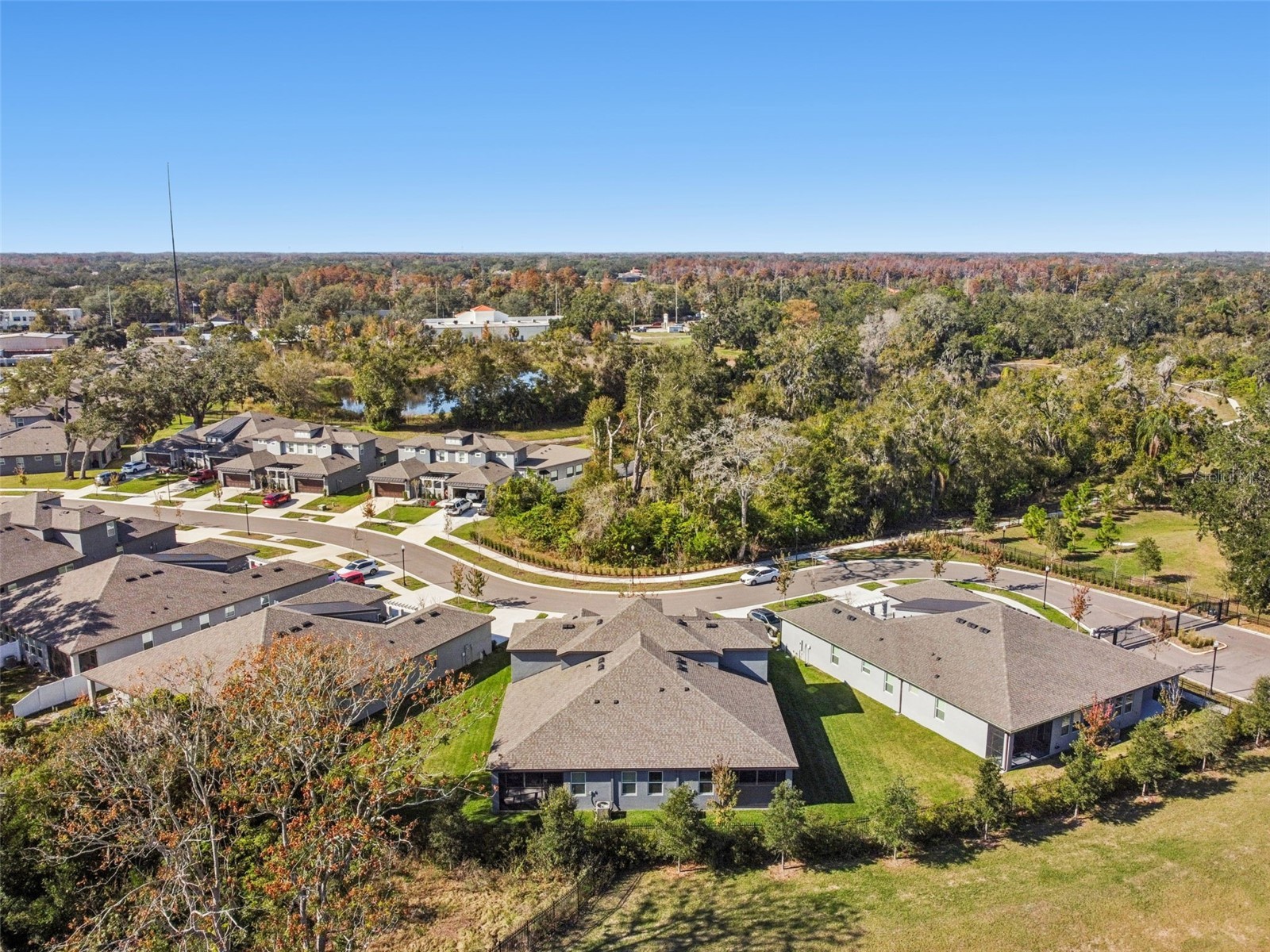 345 Villa Corte Drive Lutz FL 33549 TB8458987 image57