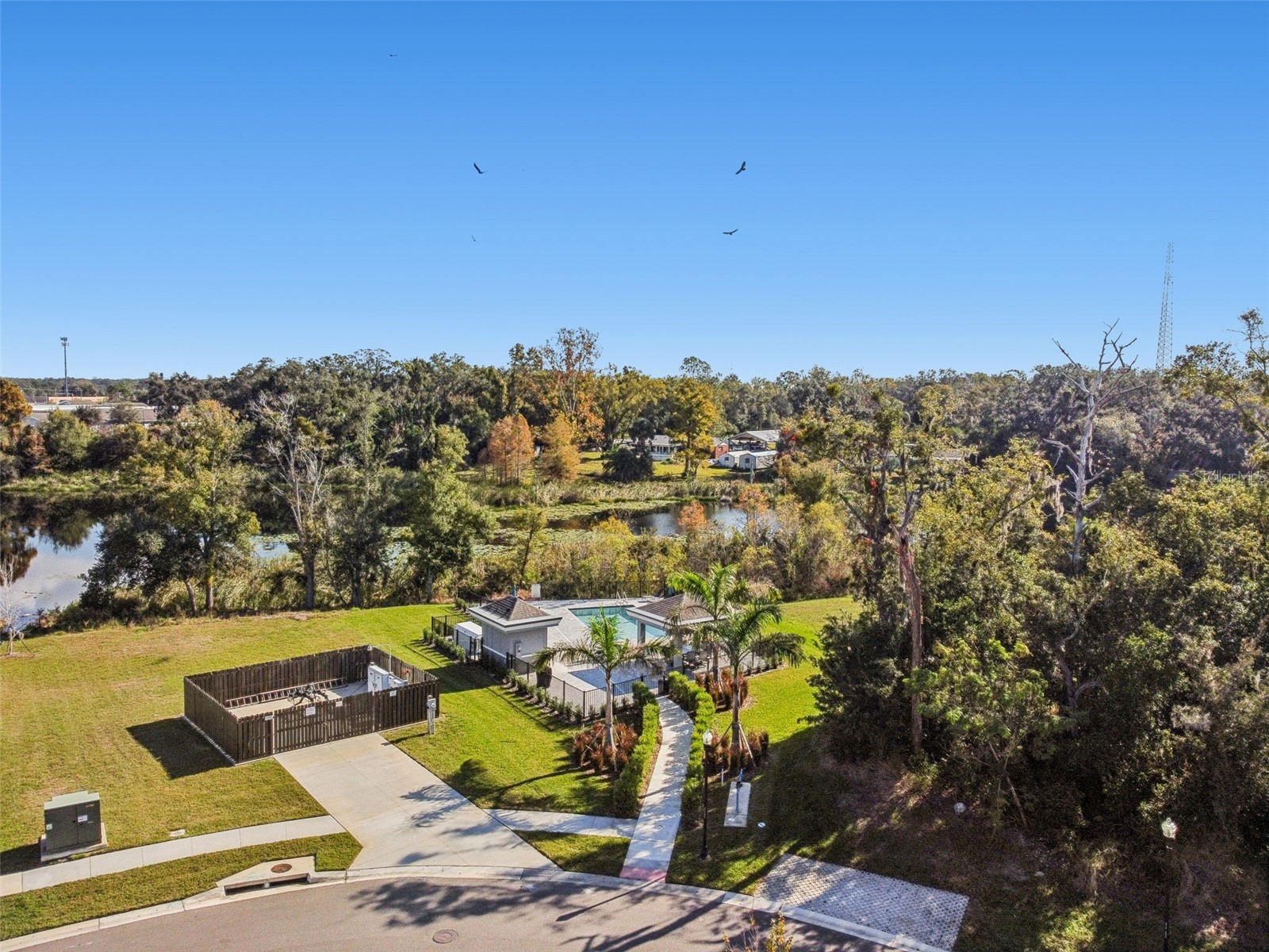 345 Villa Corte Drive Lutz FL 33549 TB8458987 image58