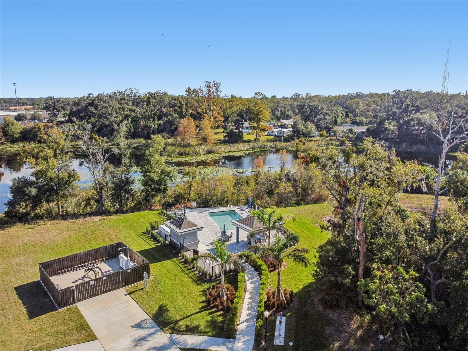 345 Villa Corte Drive Lutz FL 33549 TB8458987 image59
