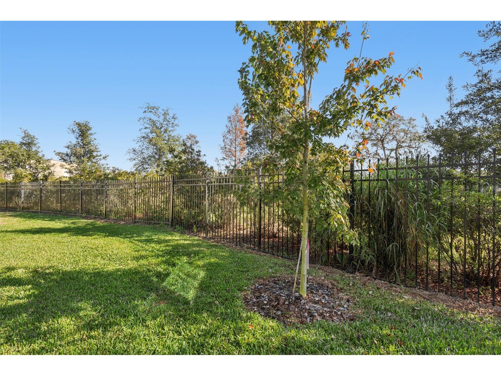 345 Villa Corte Drive Lutz FL 33549 TB8458987 image67