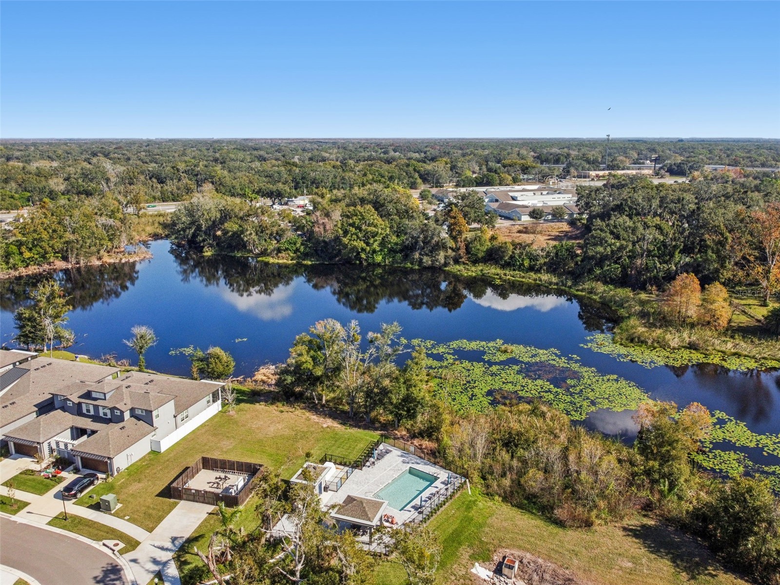 345 Villa Corte Drive Lutz FL 33549 TB8458987 image68