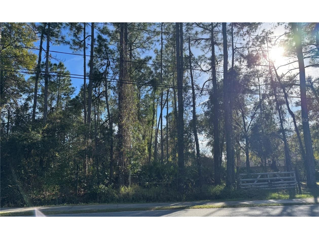 345 W Highbanks Road Debary FL 32713 V4940193 image1