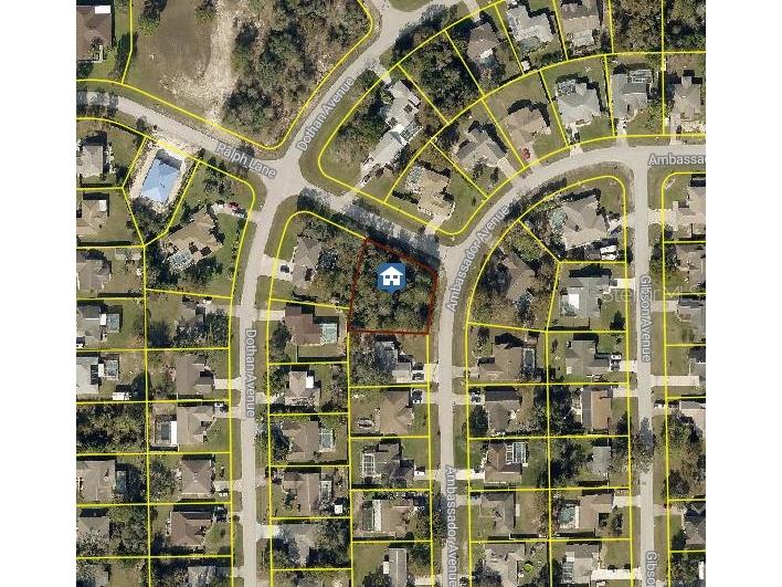 3450 Ambassador Avenue Spring Hill FL 34609 W7873321 image1