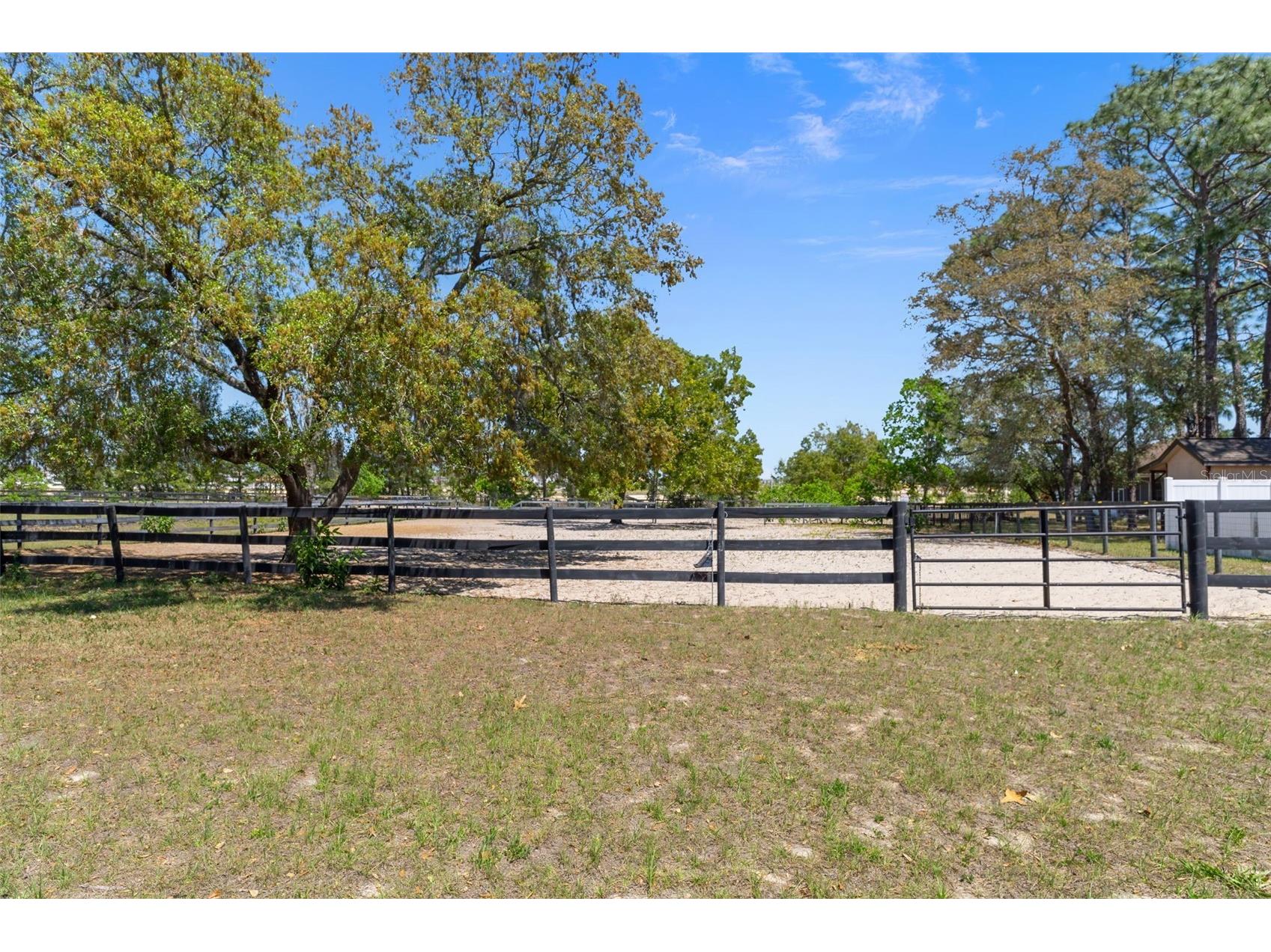 3450 Gretna Drive Spring Hill FL 34609 TB8507429 image46