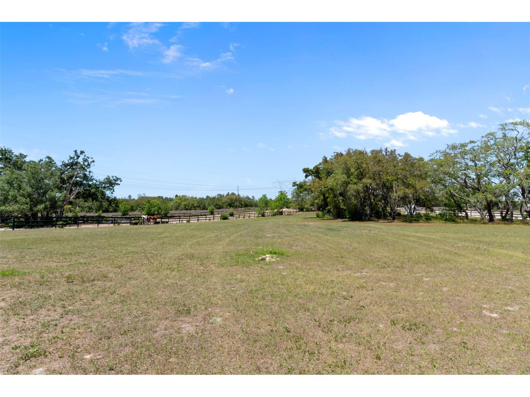 3450 Gretna Drive Spring Hill FL 34609 TB8507429 image49