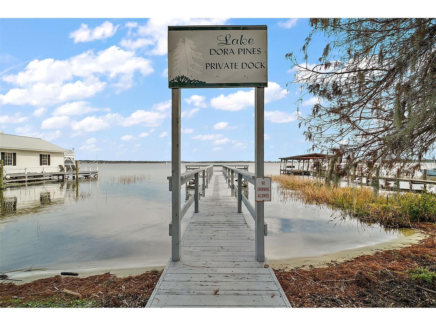 3450 Laurel Drive Mount Dora FL 32757 R4910578 image3