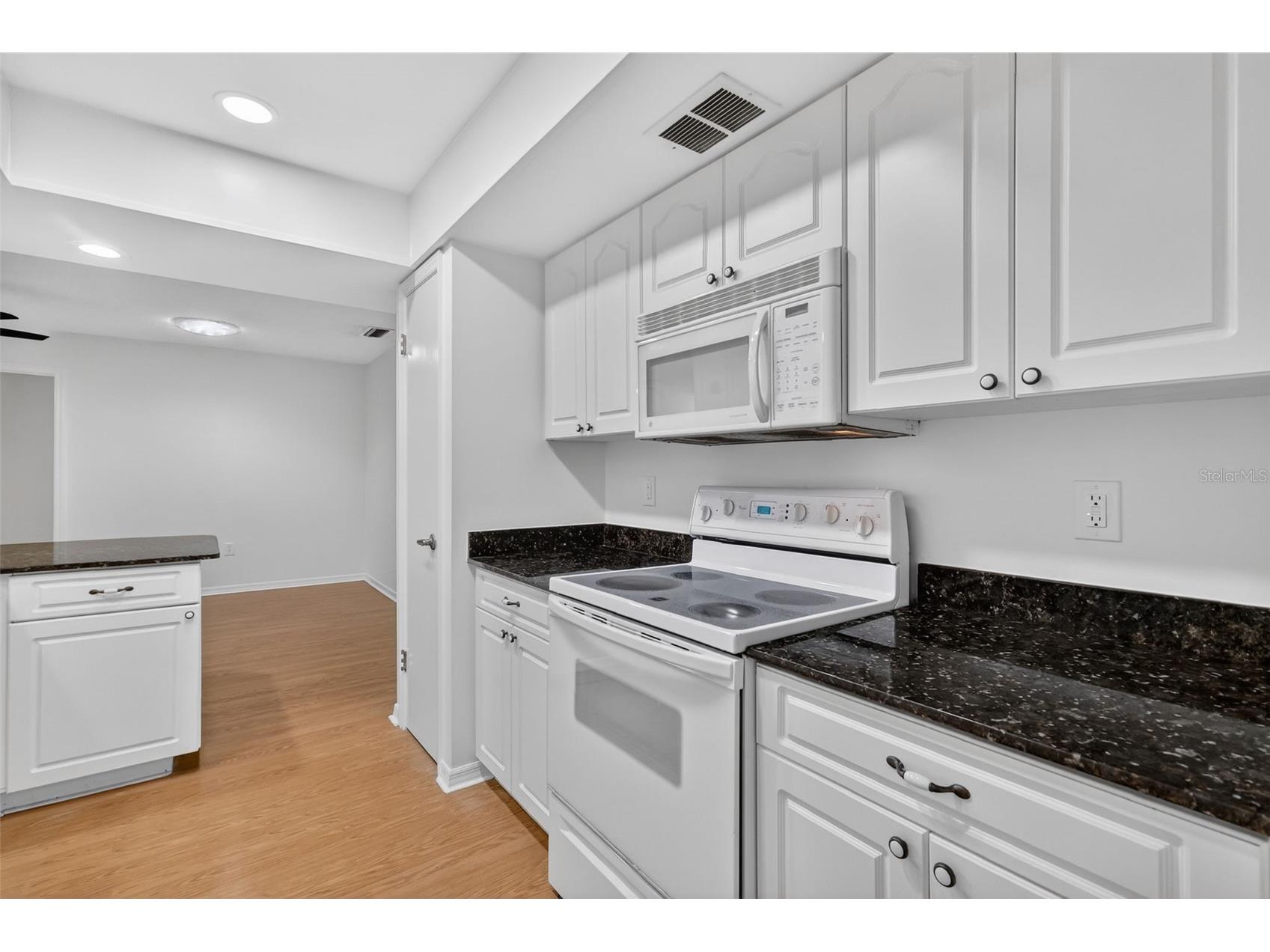 3450 Laurel Drive Mount Dora FL 32757 R4910578 image6
