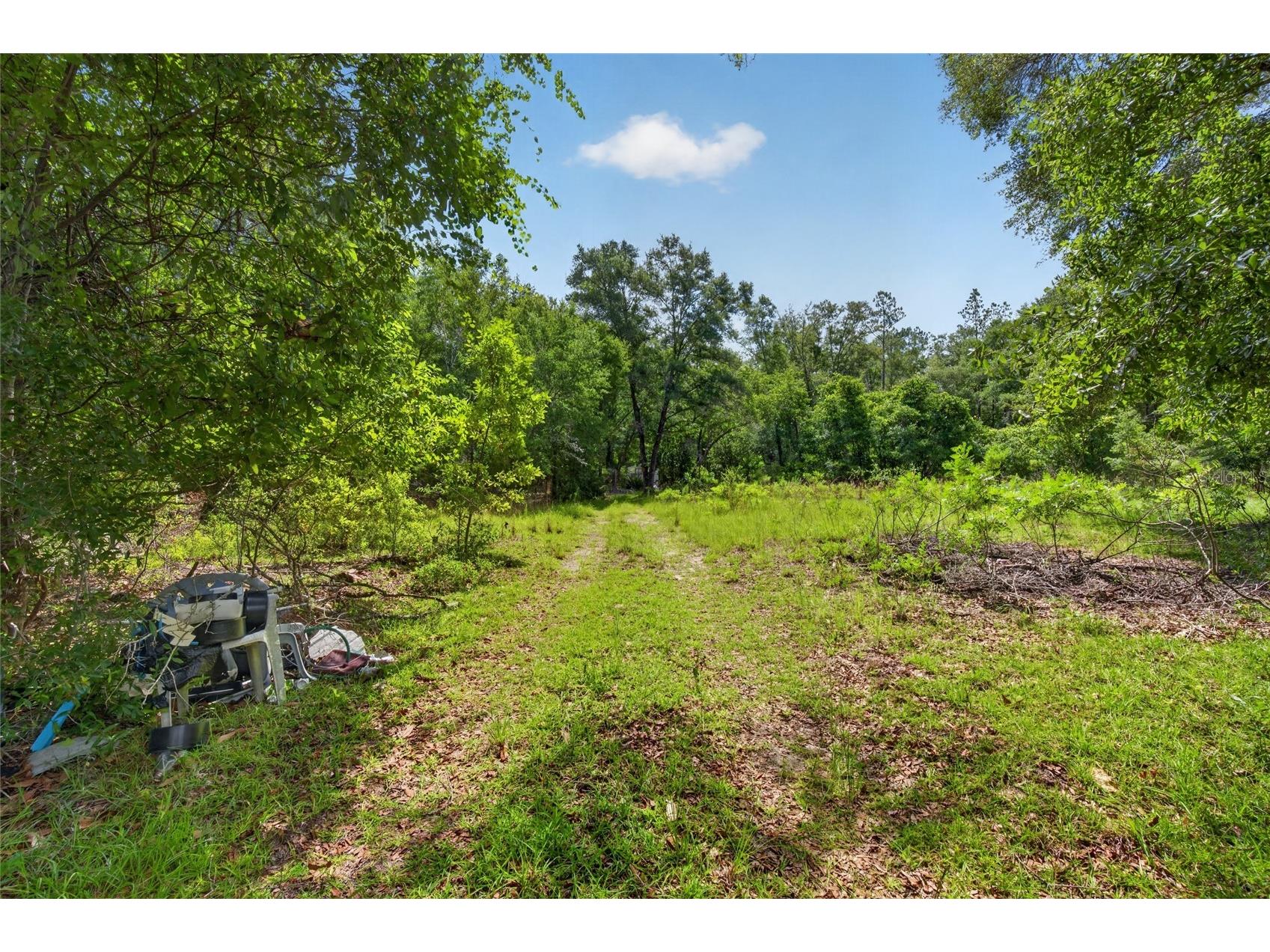 3450 NE 48th Avenue High Springs FL 32643 OM727524 image10