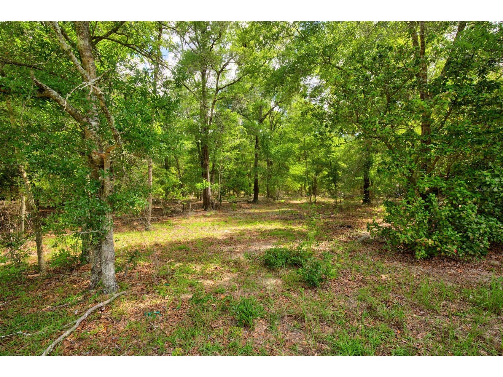 3450 NE 48th Avenue High Springs FL 32643 OM727524 image2