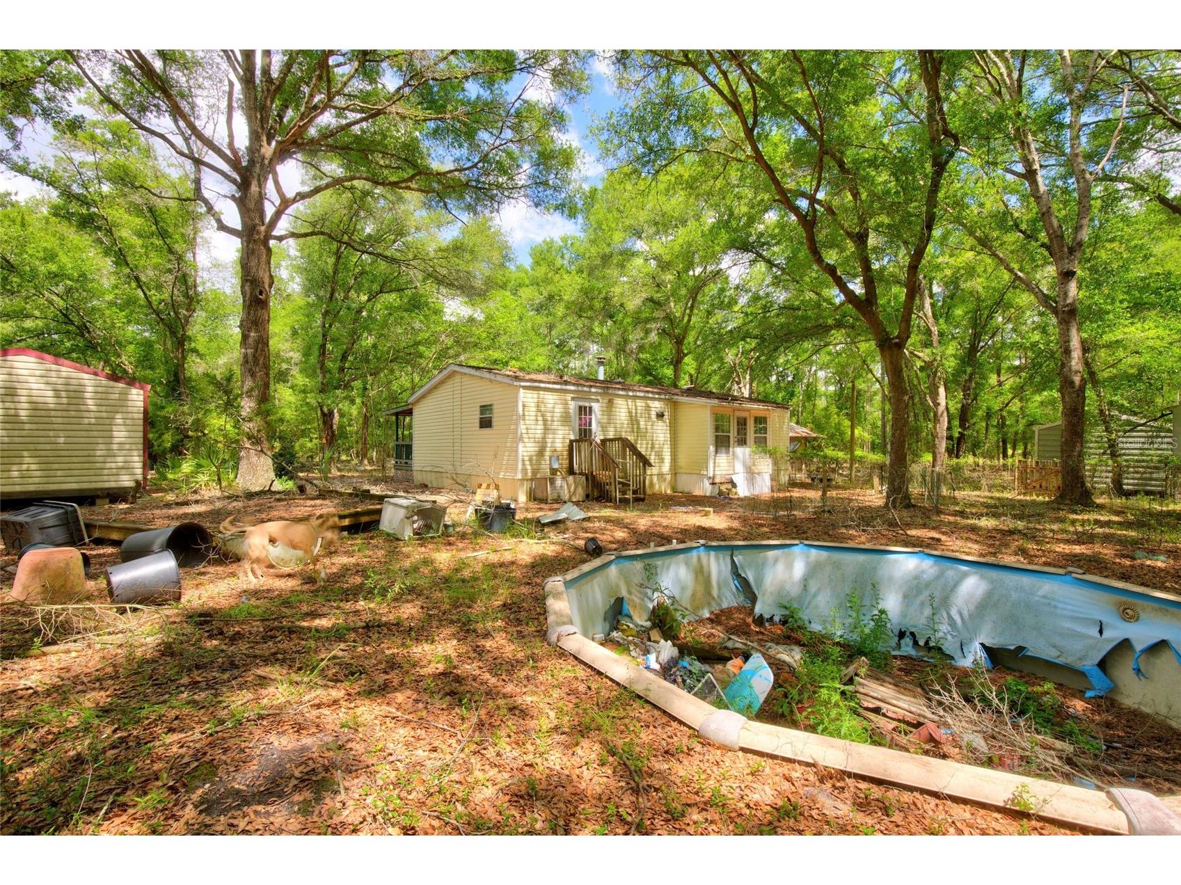 3450 NE 48th Avenue High Springs FL 32643 OM727524 image23