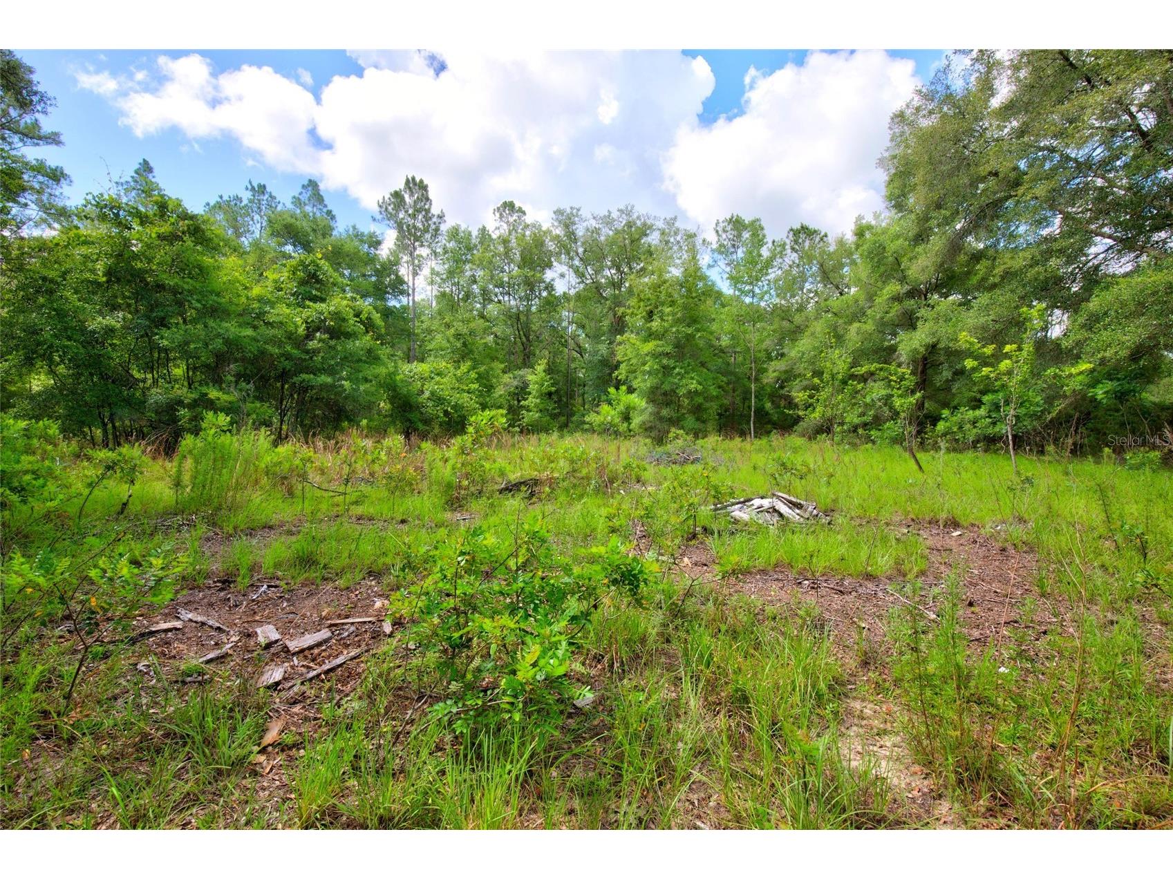 3450 NE 48th Avenue High Springs FL 32643 OM727524 image3