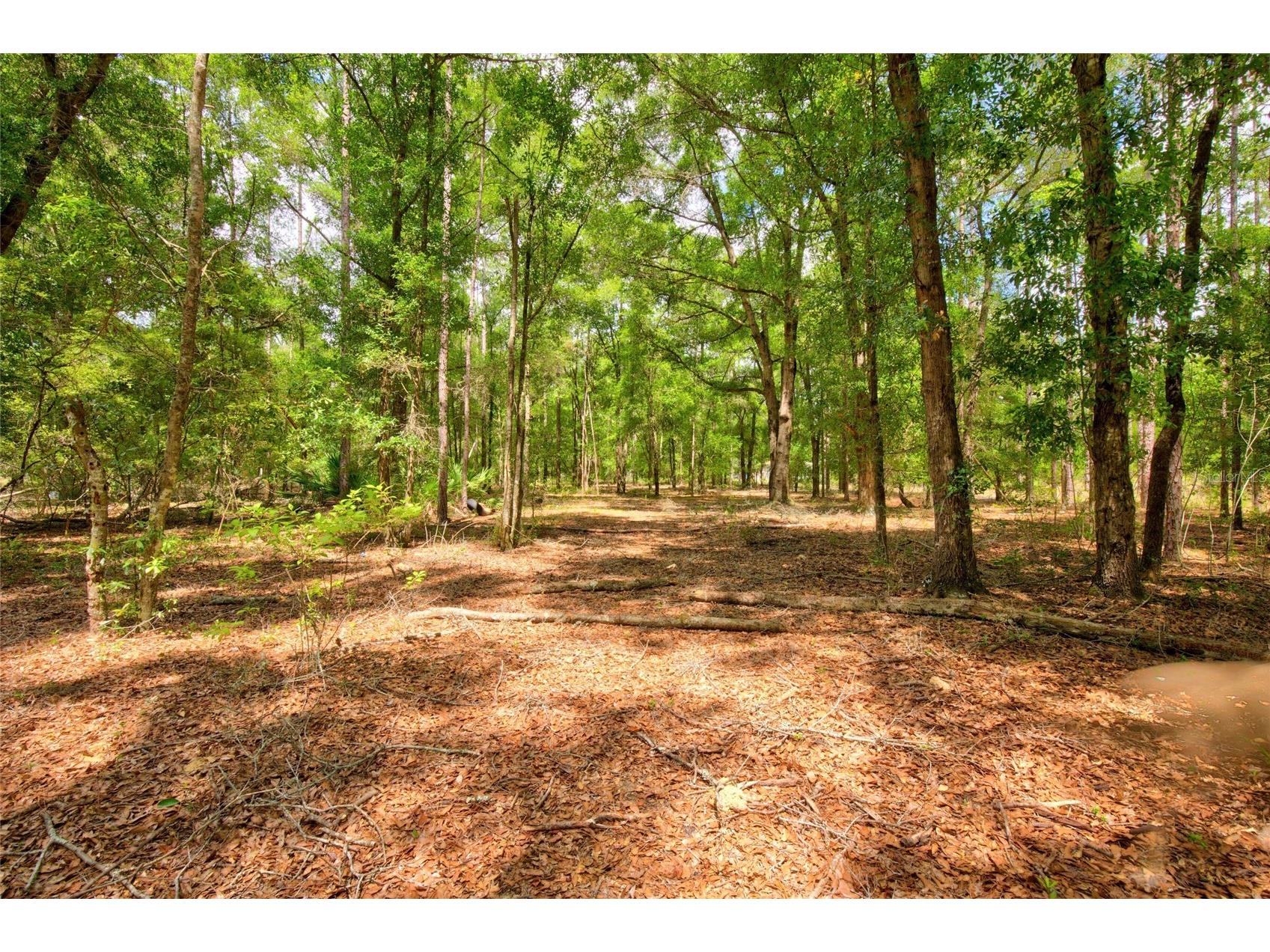 3450 NE 48th Avenue High Springs FL 32643 OM727524 image4