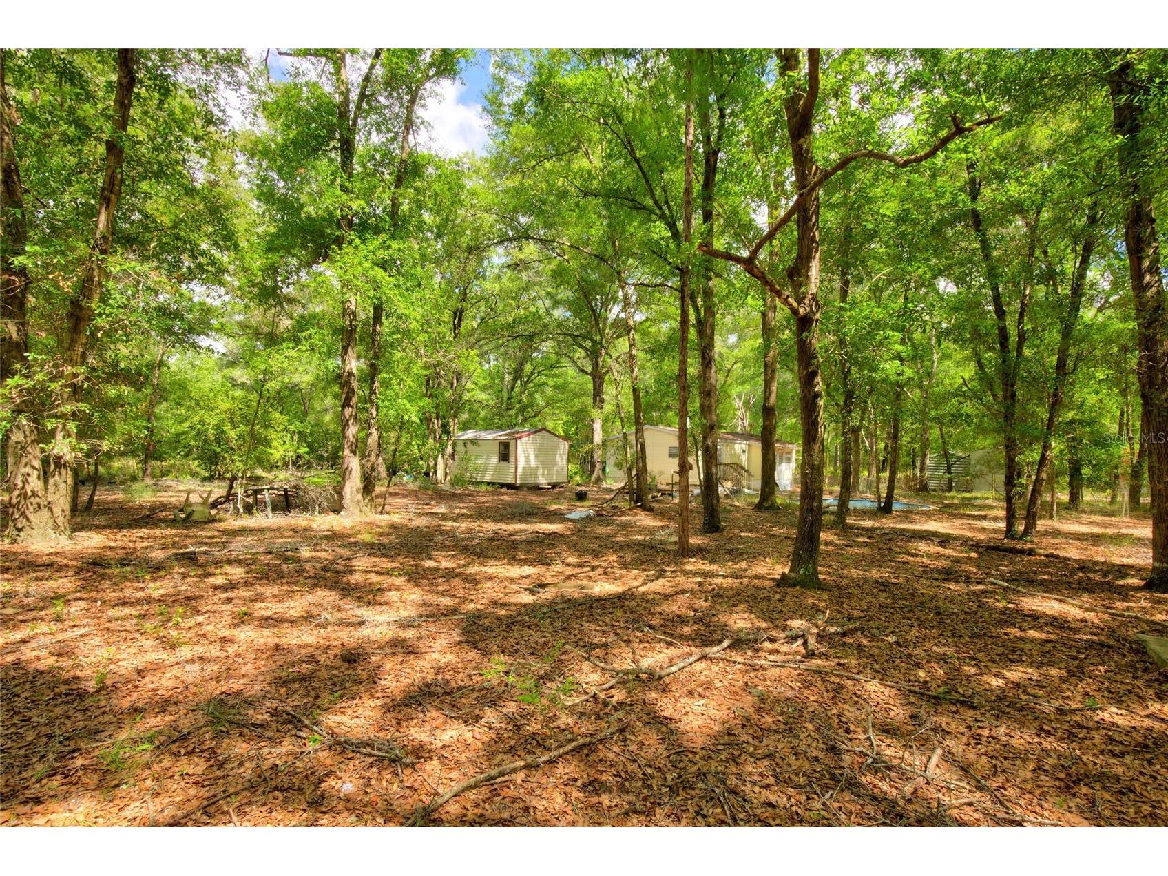 3450 NE 48th Avenue High Springs FL 32643 OM727524 image5