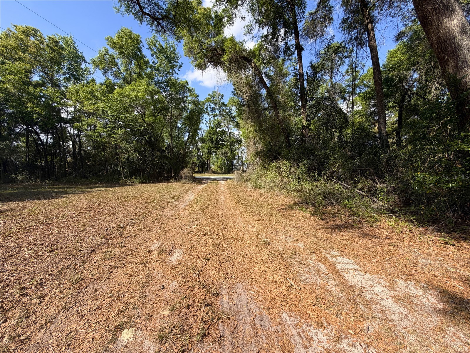 3450 NW 110th Street Chiefland FL 32626 GC539216 image14