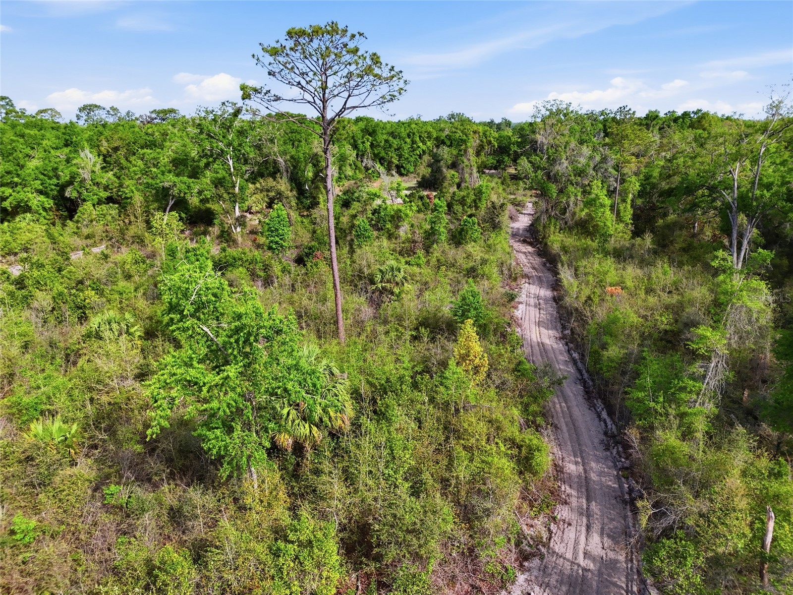 3450 NW 110th Street Chiefland FL 32626 GC539216 image24