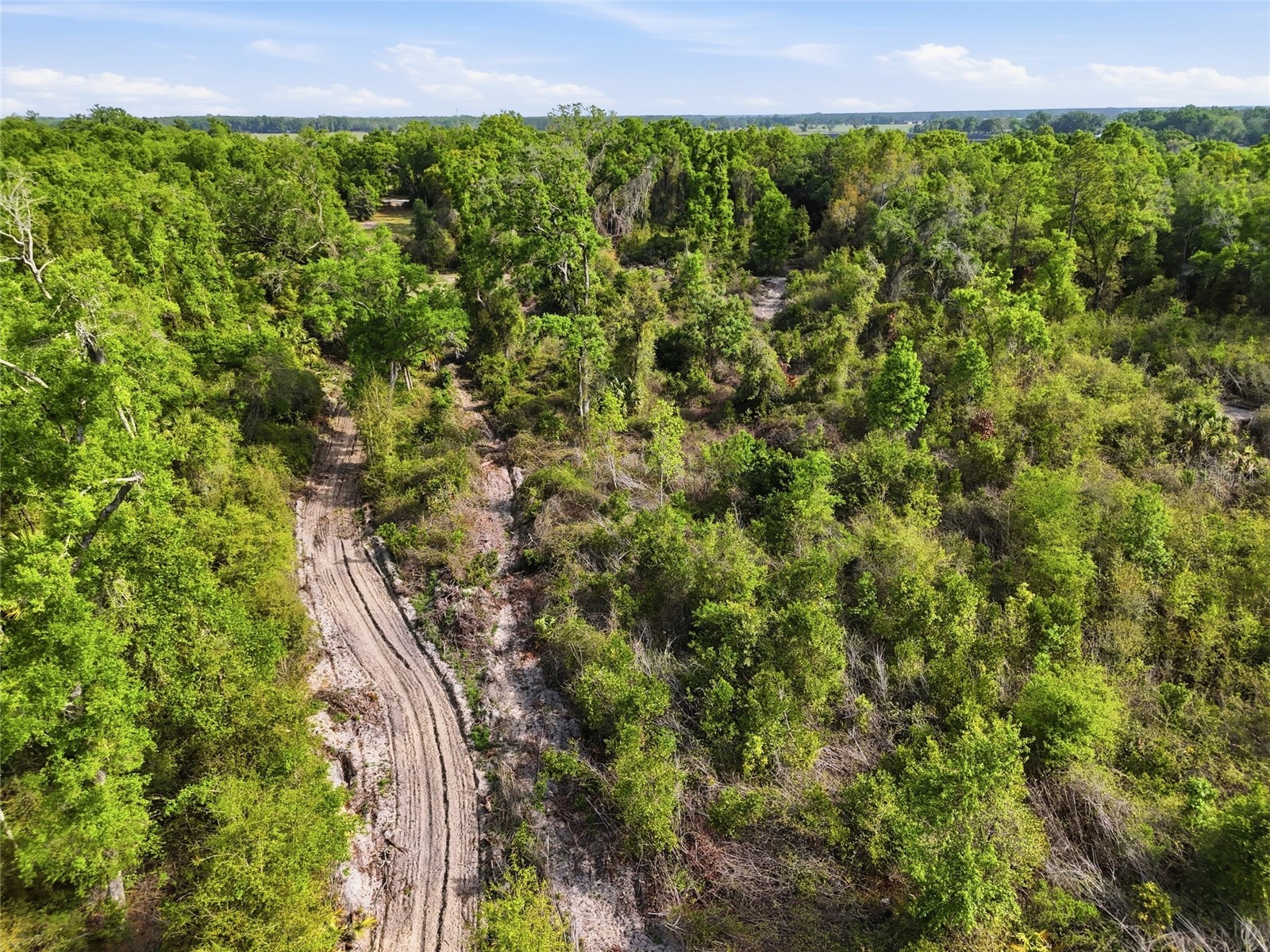 3450 NW 110th Street Chiefland FL 32626 GC539216 image25