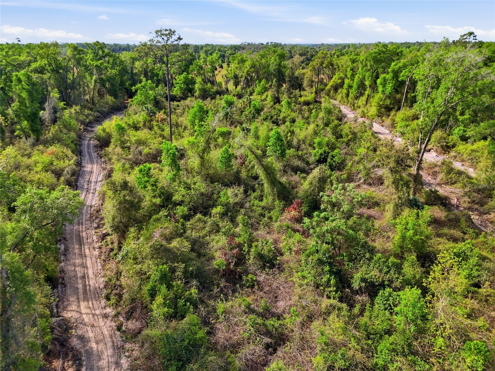 3450 NW 110th Street Chiefland FL 32626 GC539216 image26