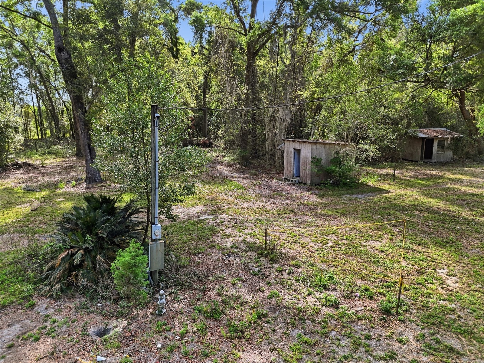 3450 NW 110th Street Chiefland FL 32626 GC539216 image5