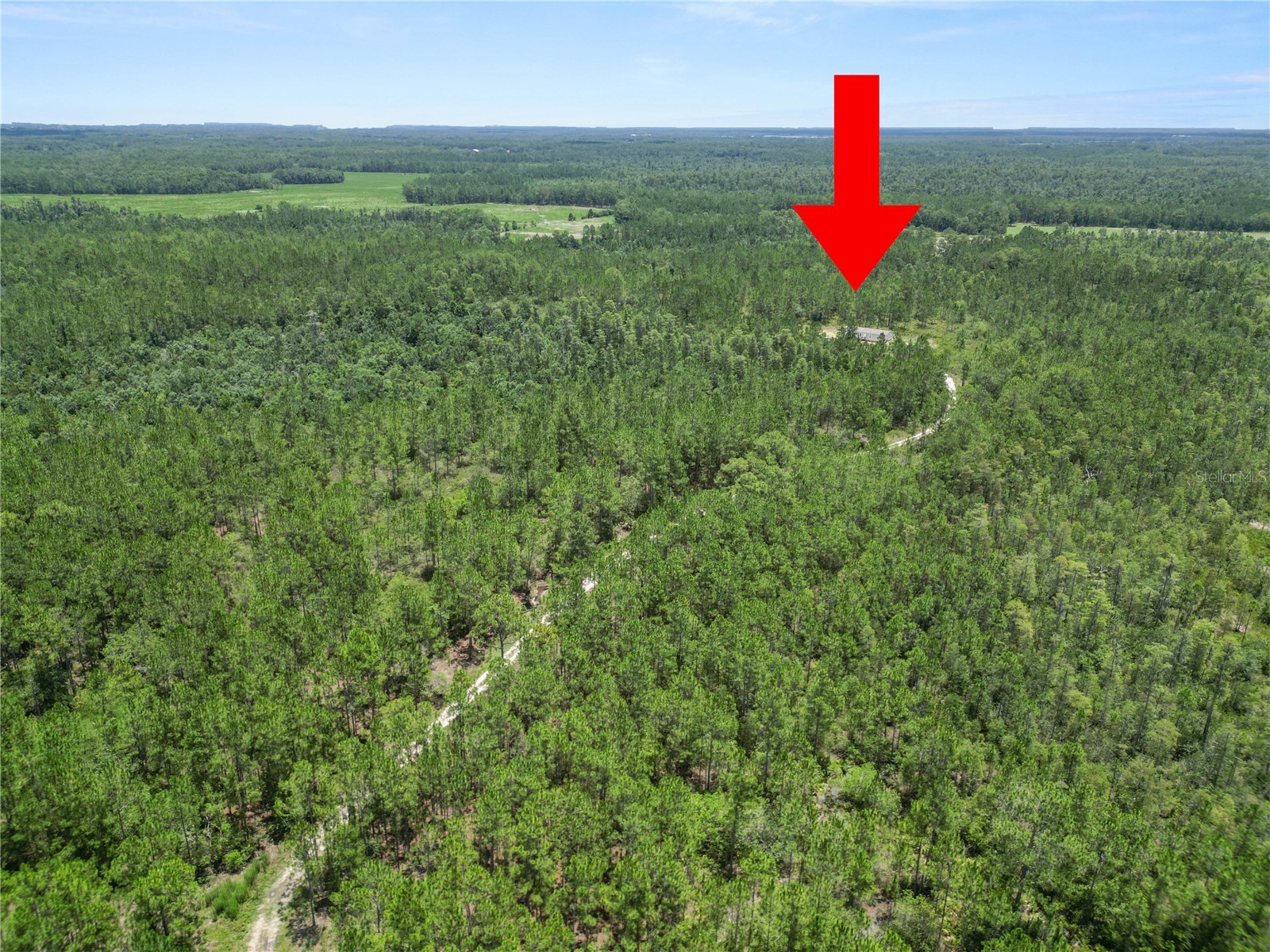 3450 Salyers Road Clermont FL 34714 L4963472 image37