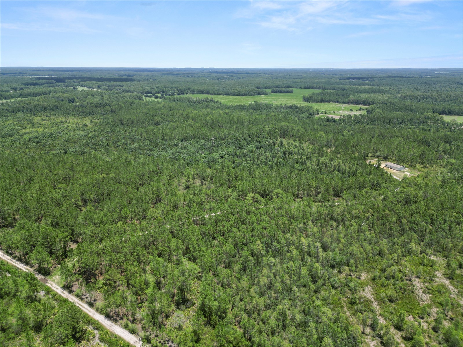 3450 Salyers Road Clermont FL 34714 L4963472 image41